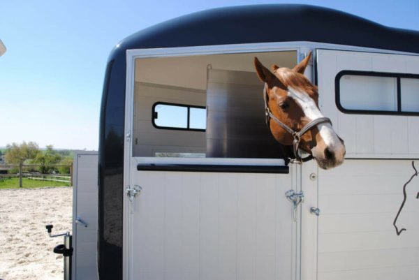 Remolque para 1 Caballo y Medio – Touring One – Image 2