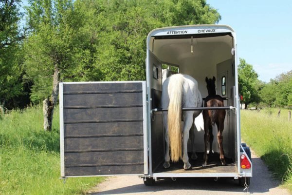 Remolque para 1 Caballo y Medio – Touring One – Image 12