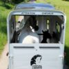 Remolque-para-1-caballo-y-medio-Touring-One-12-800x639-1-600x479-1.jpeg Remolque para 1 Caballo y Medio – Touring One