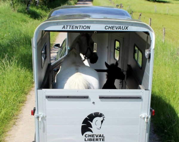 Remolque para 1 Caballo y Medio – Touring One – Image 13