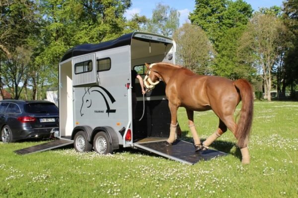 Remolque para 1 Caballo y Medio – Touring One – Image 4