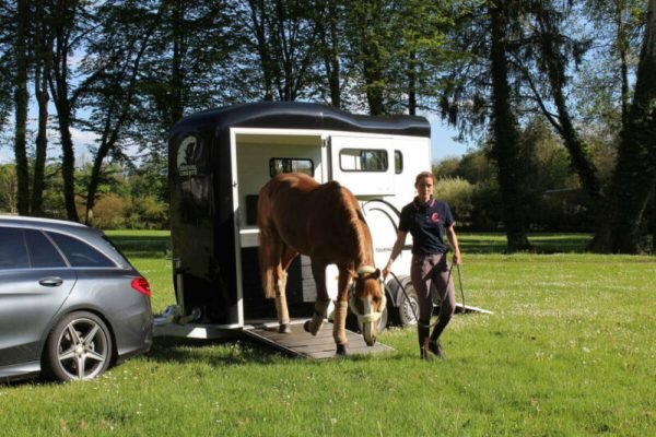 Remolque para 1 Caballo y Medio – Touring One – Image 7