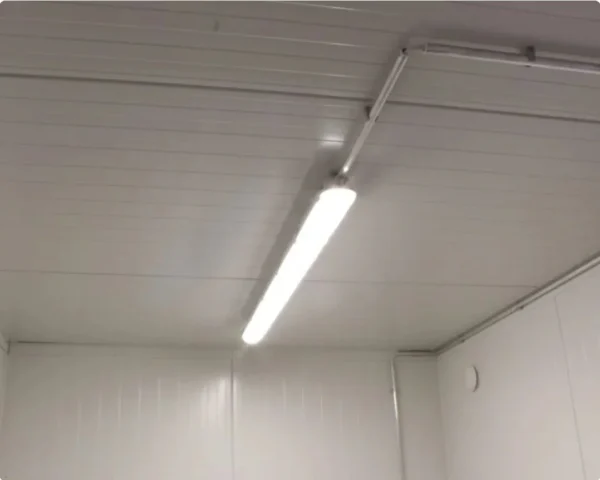 Container Frigorífico 10 pies con Grupo Frio Integrado